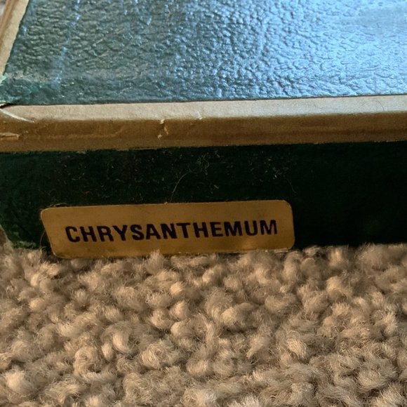 Vintage Irish Linen Green Tablecloth & 4 Napkins Chrysanthemum Design - Picture 4 of 6